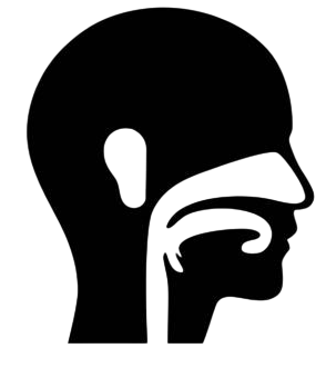 Kulak Burun Boğaz (KBB)